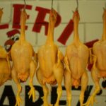 Hühnchen für Katzen: Können Katzen rohes Hühnchen essen?