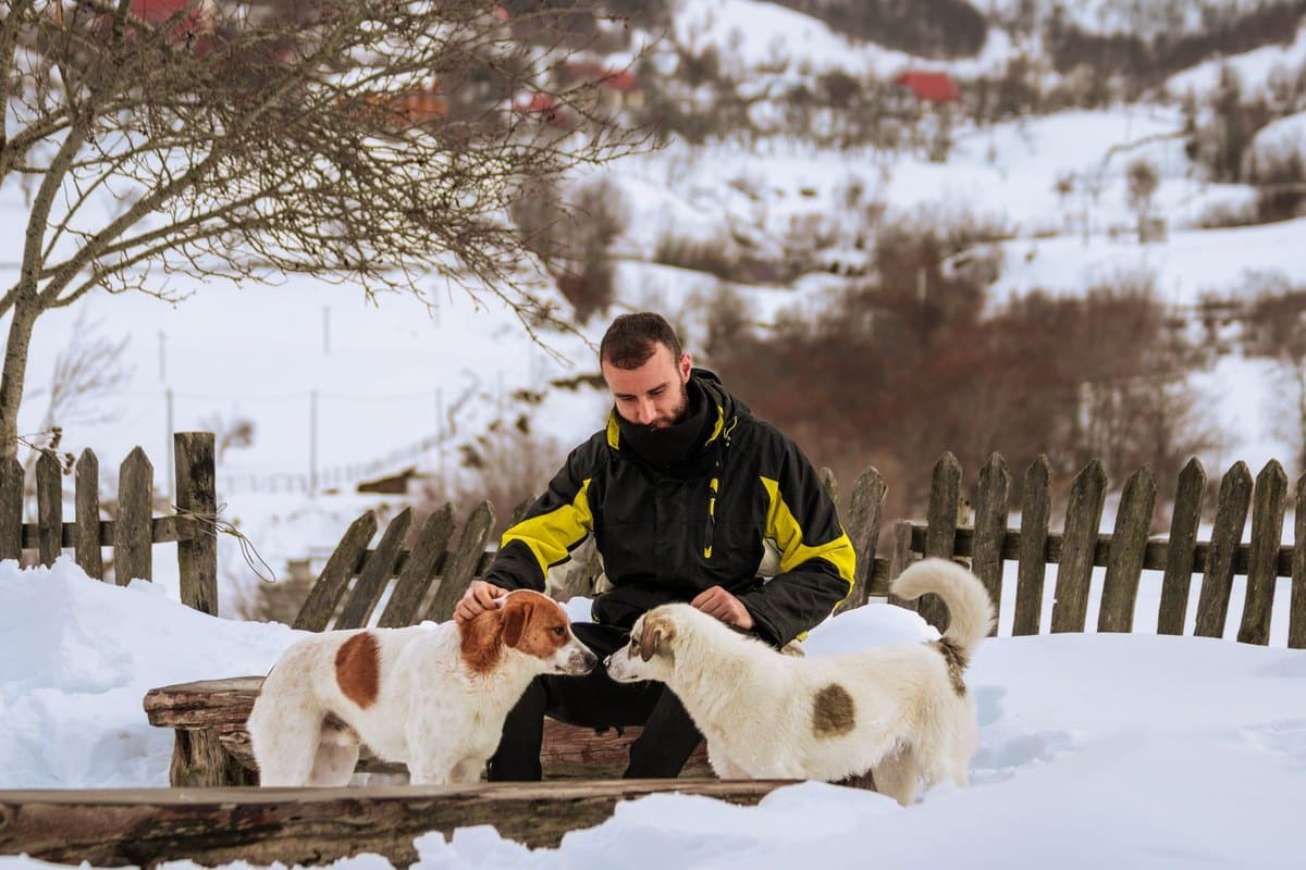 Balkan-Roadtrip mit Hund: durch mehrere Länder reisen – go4vet