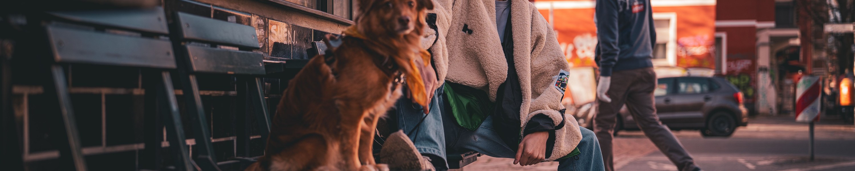 Mit Hund in Berlin: Städtereise