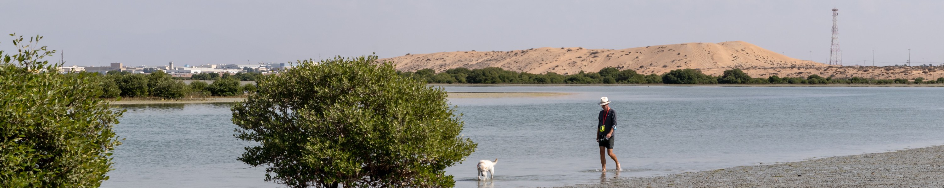 Mit Hund nach Dubai und in die VAE