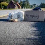 Mit Hund in Hamburg: Städtereise