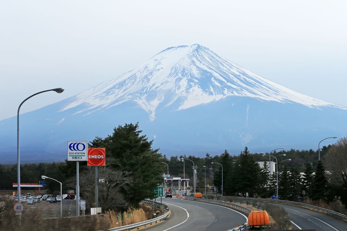 Mit Hund nach Japan – go4vet