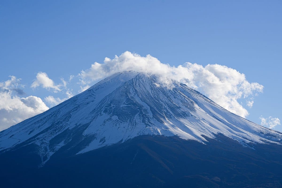 Mit Hund nach Japan – go4vet