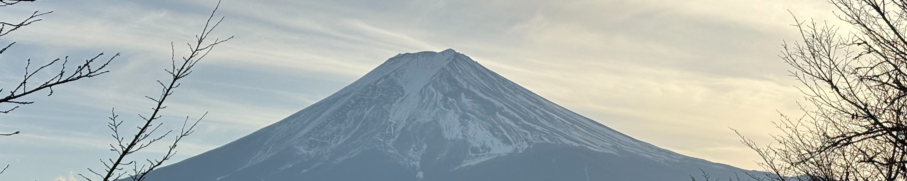 Mit Hund nach Japan