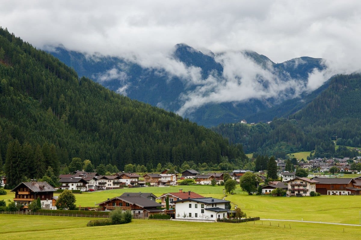 Mit Hund nach Österreich: Einreisebestimmungen 2026 – go4vet
