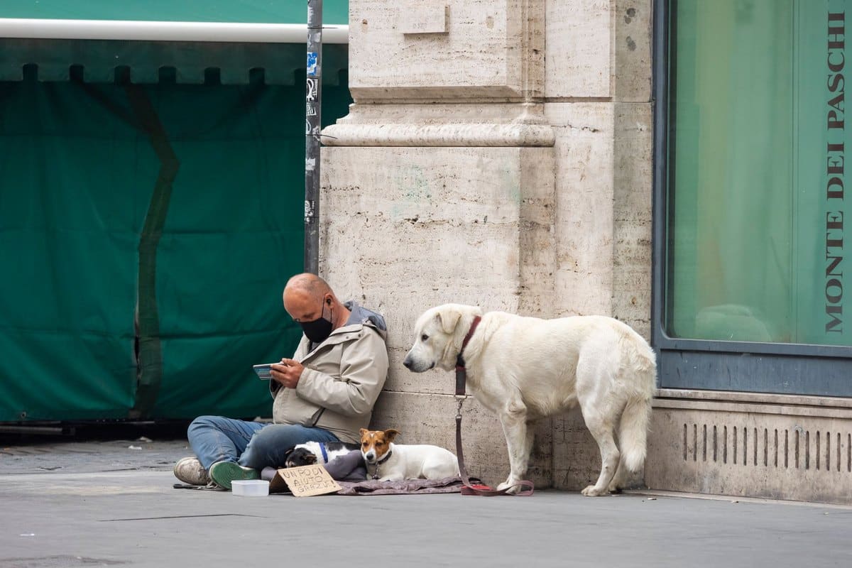 Mit Hund in Rom: Städtereise – go4vet