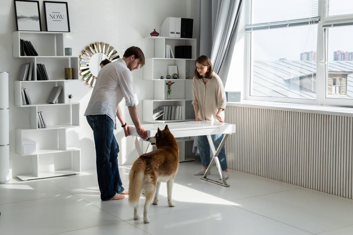 Hund und Vollzeit-Job: So klappt es trotzdem – go4vet
