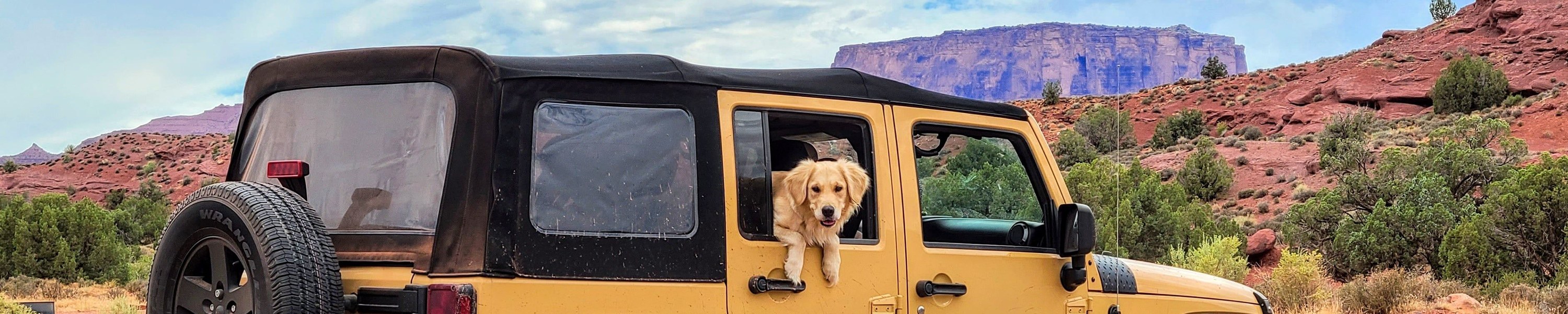 Mit Hund in die USA: Einreise und Reise