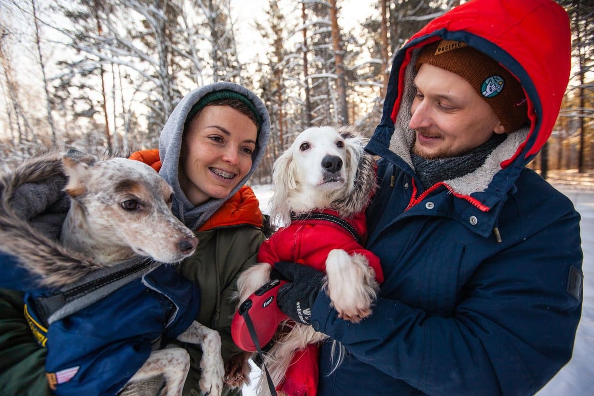 Hunde, die wenig sabbern – go4vet