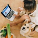Hundefutter
