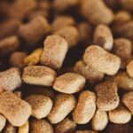 Hundefutter ohne Getreide