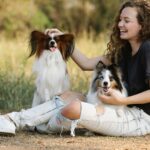 Hundekrankenversicherung 2026: Leistungen, Kosten und Anbieter im DACH-Vergleich