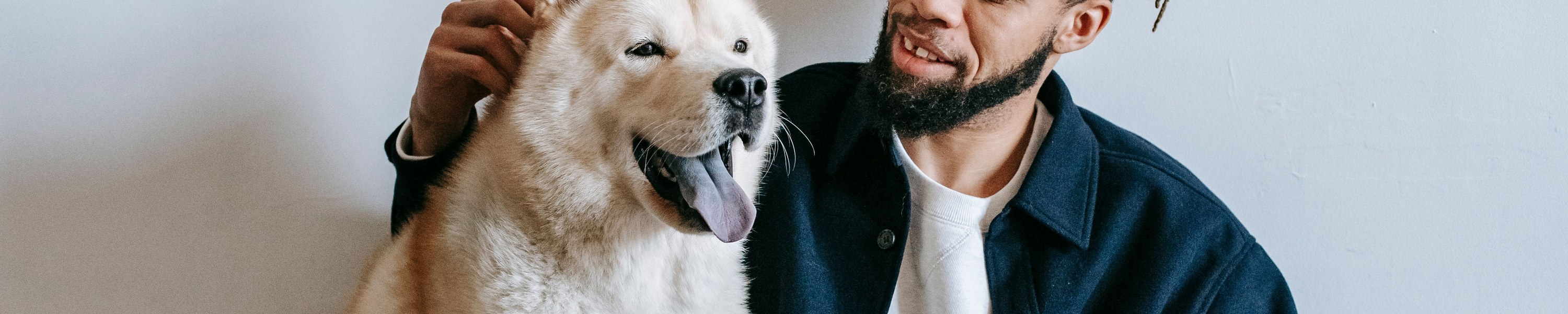 Hundeversicherung 2026: Haftpflicht, Krankenversicherung und OP-Schutz im DACH-Vergleich