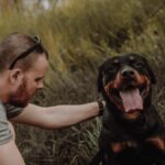 Hundeversicherung Rechner: In zwei Minuten zur realistischen Monatsprämie für deinen Hund