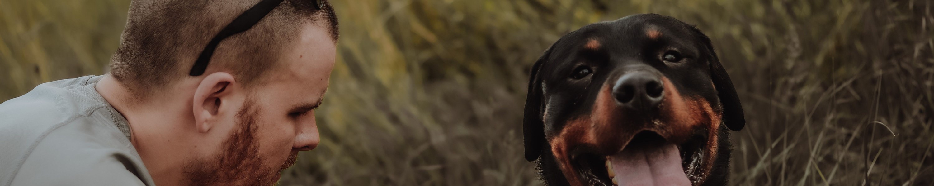 Hundeversicherung Rechner: In zwei Minuten zur realistischen Monatsprämie für deinen Hund