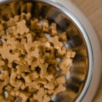 Hypoallergene Diät beim Hund: Wenn das Futter Probleme macht