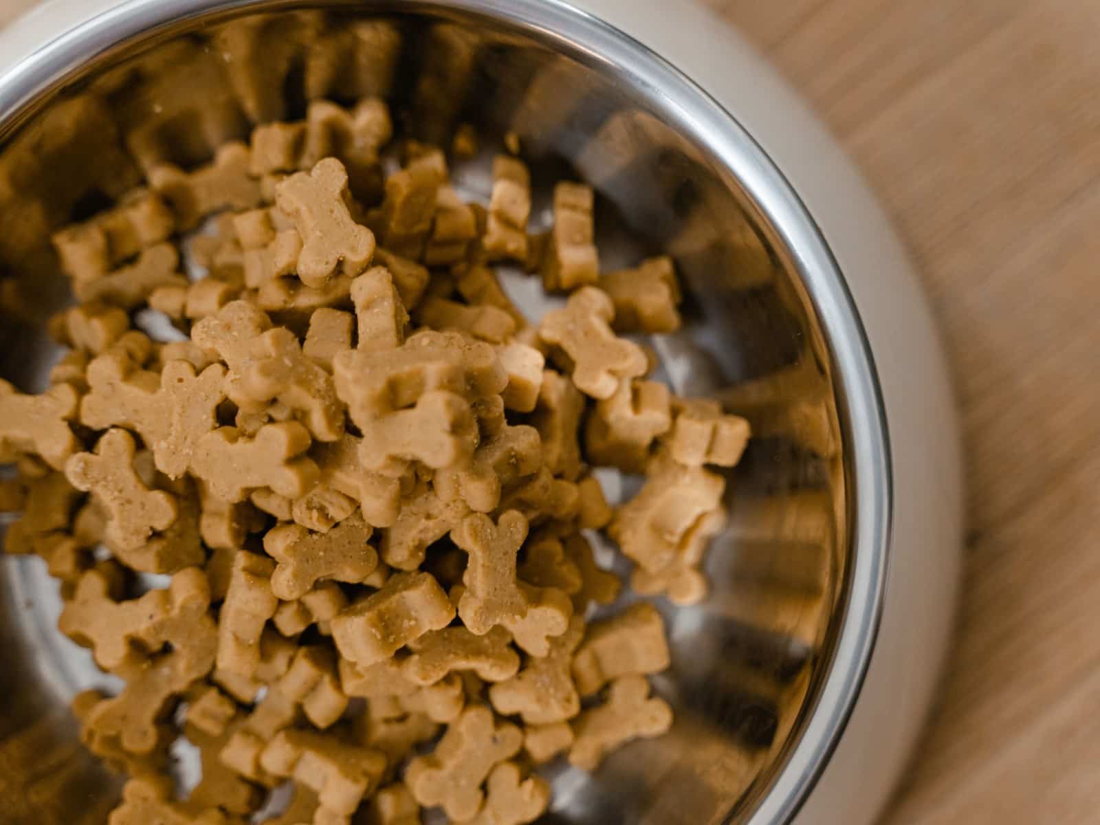 Hypoallergene Diät beim Hund: Wenn das Futter Probleme macht