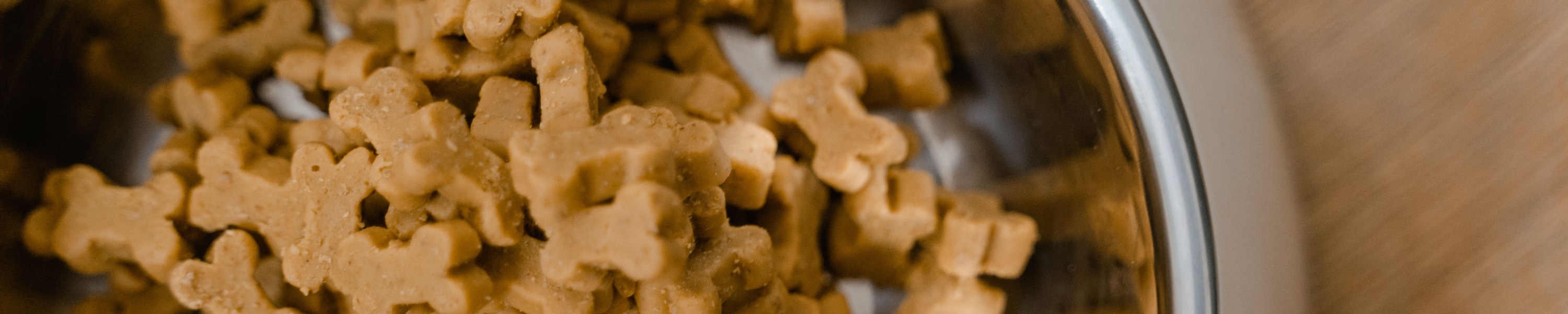 Hypoallergene Diät beim Hund: Wenn das Futter Probleme macht
