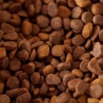 Hypoallergenes Hundefutter