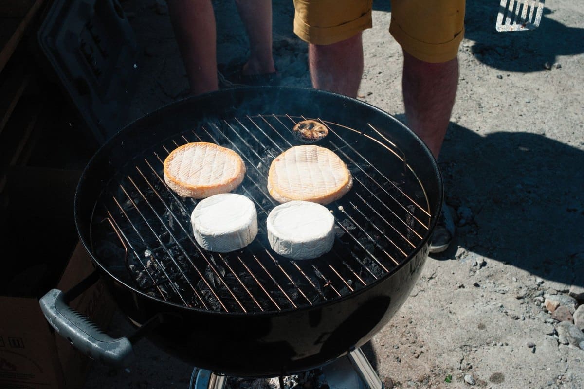 Dürfen Hunde Käse essen? Diese Sorten sind unbedenklich – go4vet