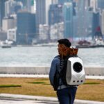 Mit der Katze fliegen: Vorbereitung und Ablauf