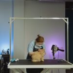 Katzenklappe einbauen: Modelle, Kosten und Anleitung