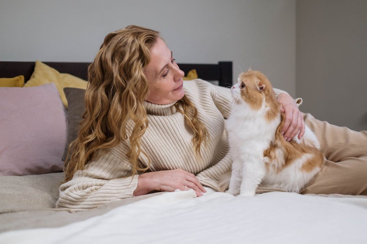 Katzenkrankenversicherung: Ratgeber, Tarife, Kosten – go4vet