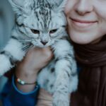 Katzenversicherung 2026: Krankenschutz und OP-Versicherung im DACH-Vergleich