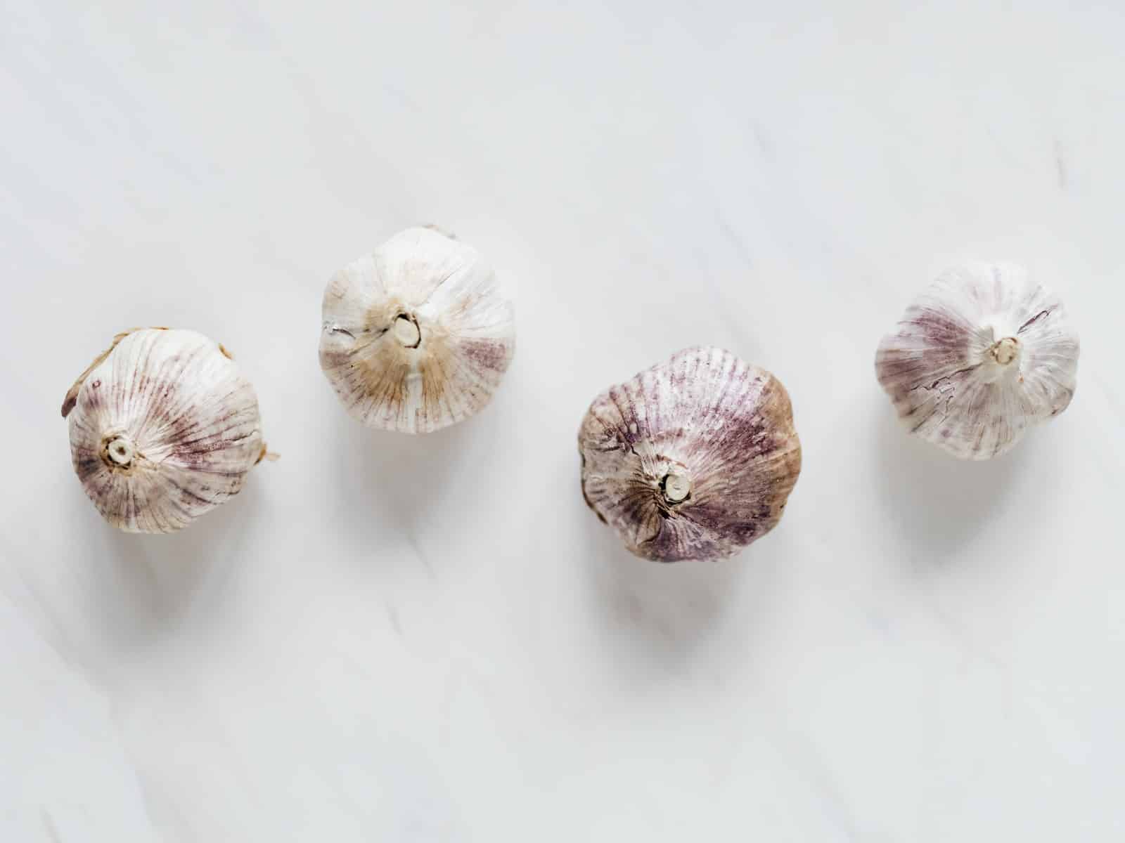 Ist Knoblauch giftig für Hunde? Gefährlicher als Zwiebeln!