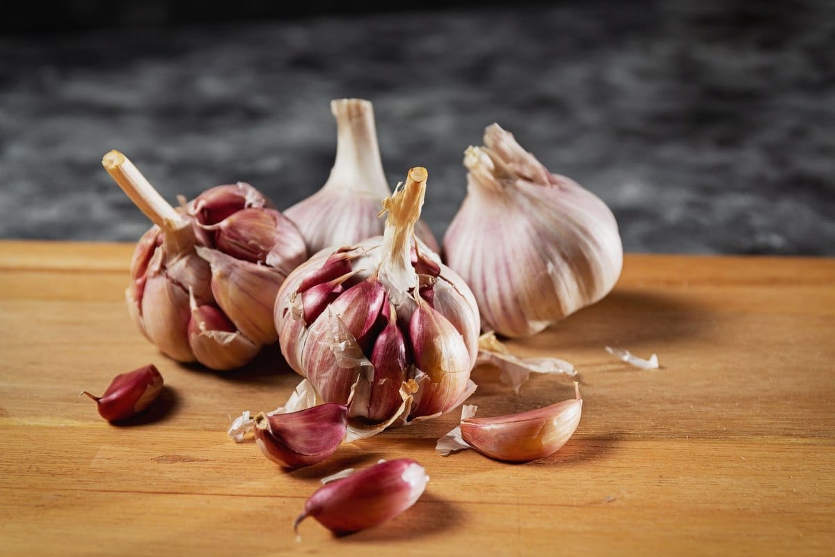Ist Knoblauch giftig für Hunde? Gefährlicher als Zwiebeln! – go4vet