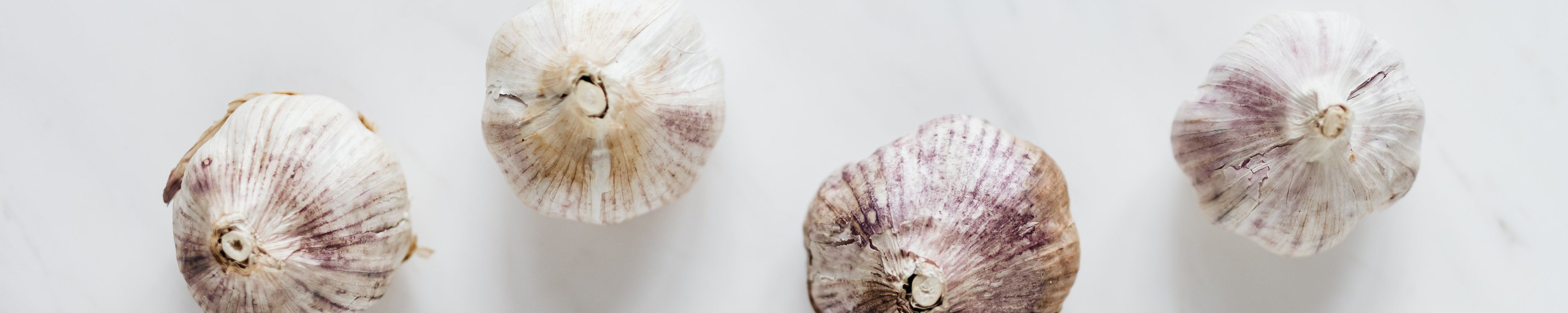 Ist Knoblauch giftig für Hunde? Gefährlicher als Zwiebeln!