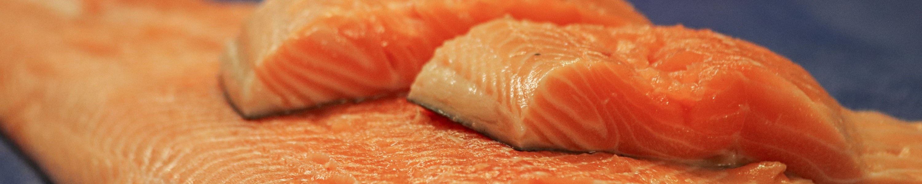 Lachs für Hunde: Können Hunde Lachs essen?