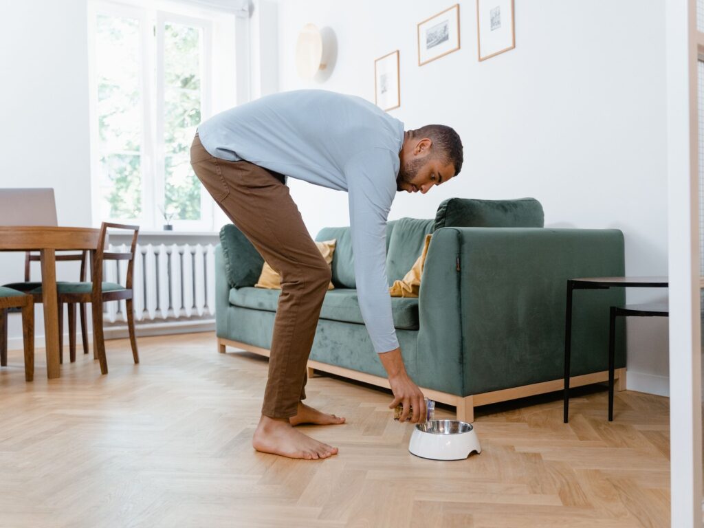 Leberdiät beim Hund: Wann Royal Canin Hepatic die richtige Wahl ist