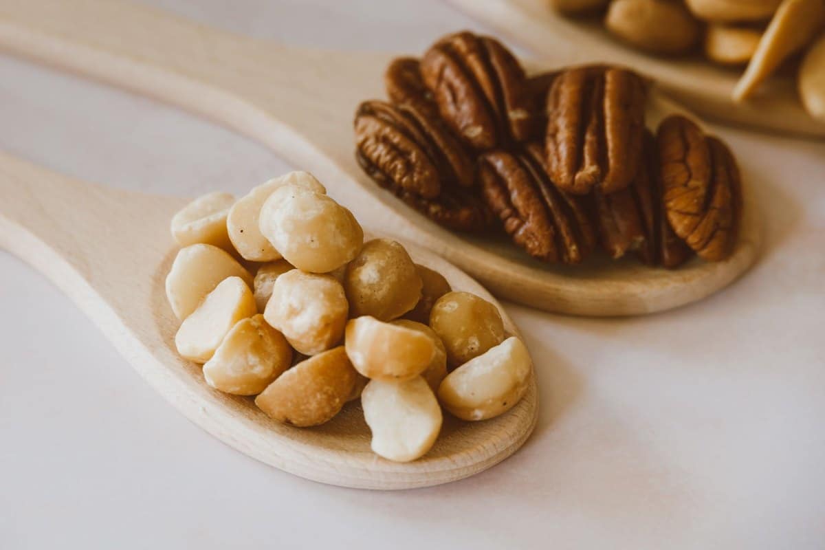 Macadamia Nüsse Hund: Sind Macadamia giftig? – go4vet