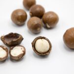 Macadamia Nüsse Katze: Sind Macadamia giftig?