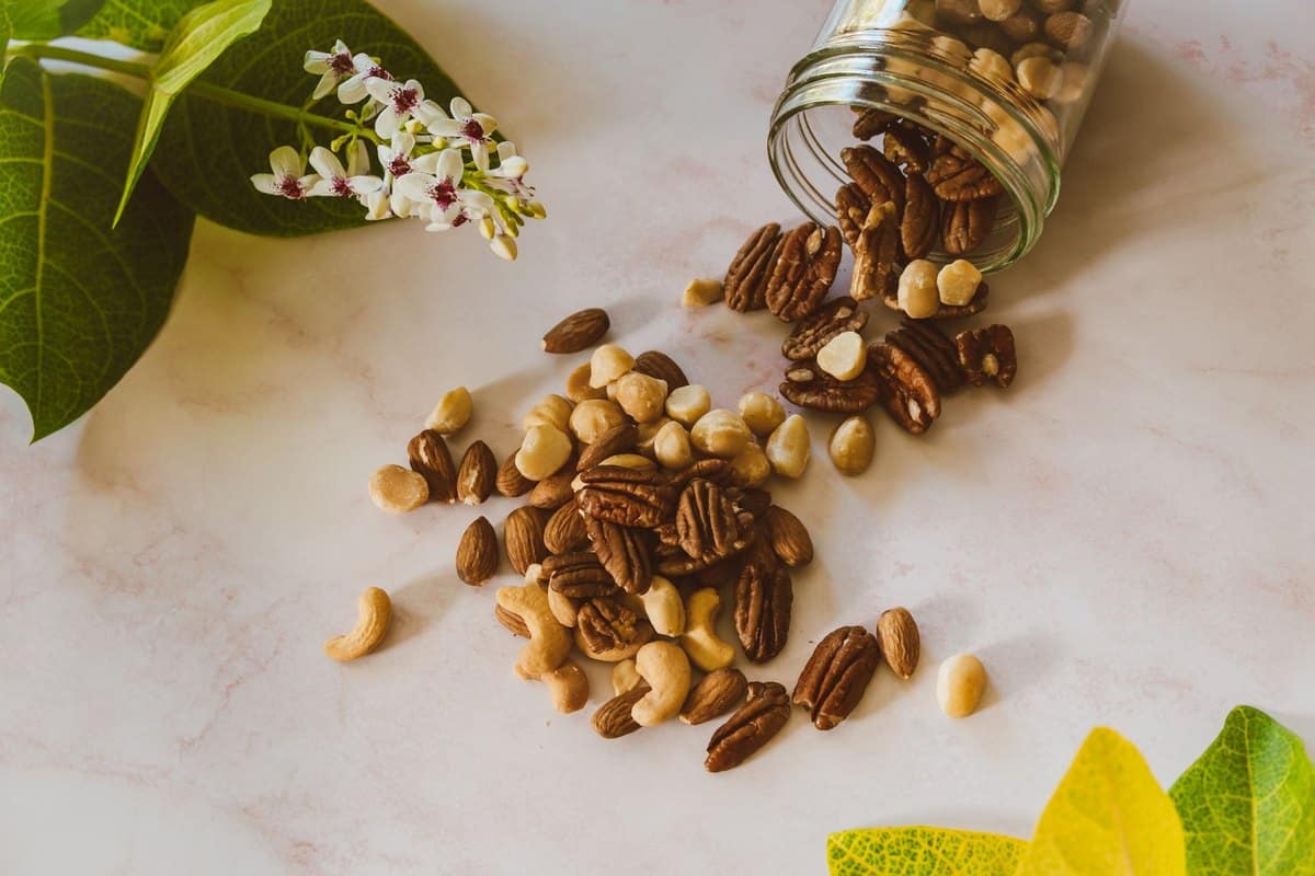 Macadamia Nüsse Katze: Sind Macadamia giftig? – go4vet