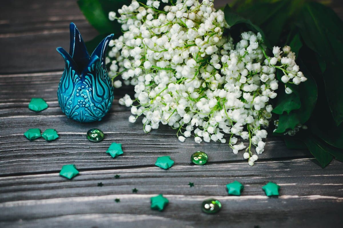 Maiglöckchen giftig: Eine der giftigsten Gartenpflanzen! – go4vet