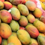 Dürfen Katzen Mango essen? Tropischer Snack mit einer Ausnahme