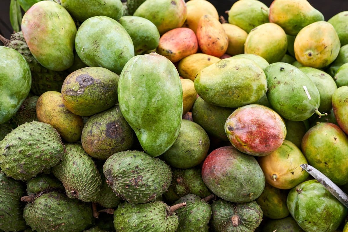 Dürfen Katzen Mango essen? Tropischer Snack mit einer Ausnah – go4vet