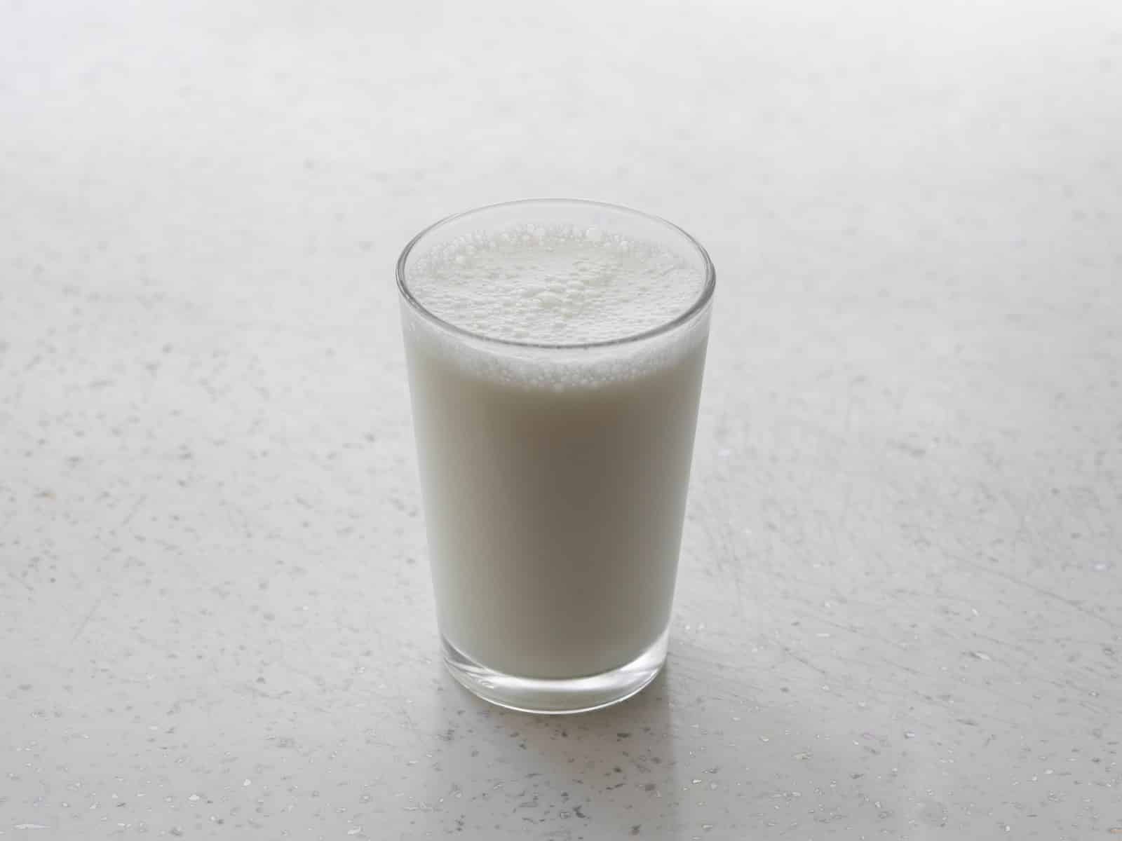Dürfen Hunde Milch trinken? Laktoseintoleranz bei Hunden erklärt