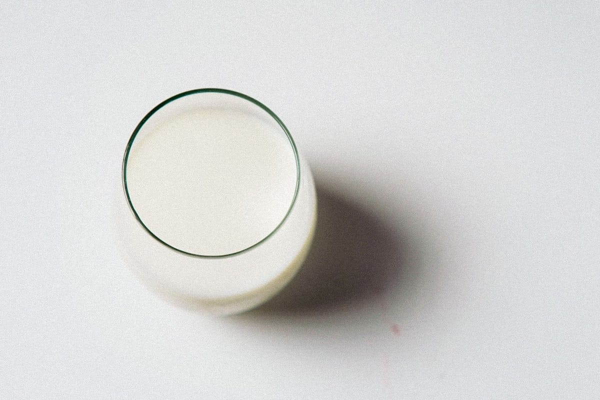 Dürfen Hunde Milch trinken? Laktoseintoleranz bei Hunden erk – go4vet