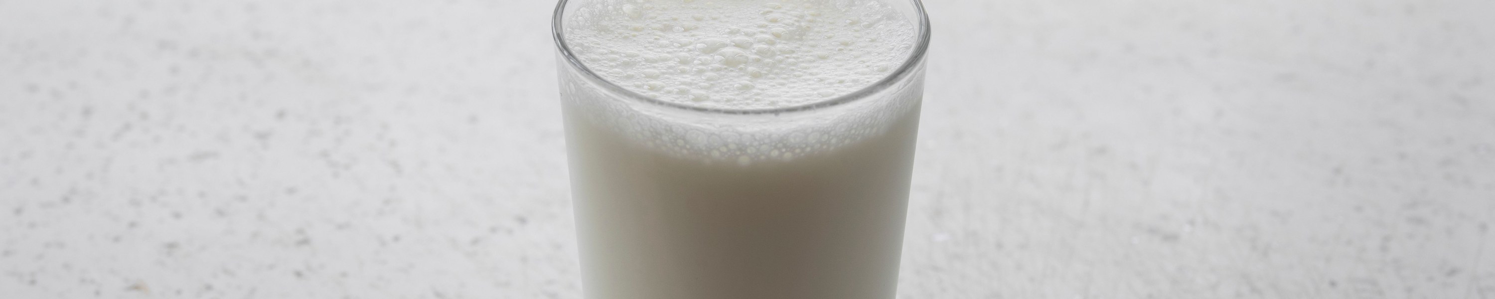 Dürfen Hunde Milch trinken? Laktoseintoleranz bei Hunden erklärt