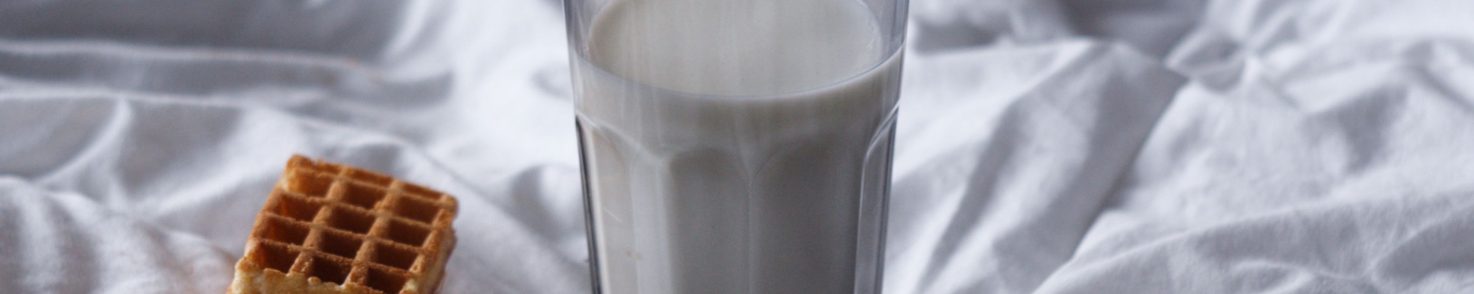 Dürfen Katzen Milch trinken? Laktoseintoleranz bei Hunden erklärt