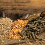 Mineralfutter Pferd im Vergleich: Getreidefrei, melassefrei, Spirulina, Pellet