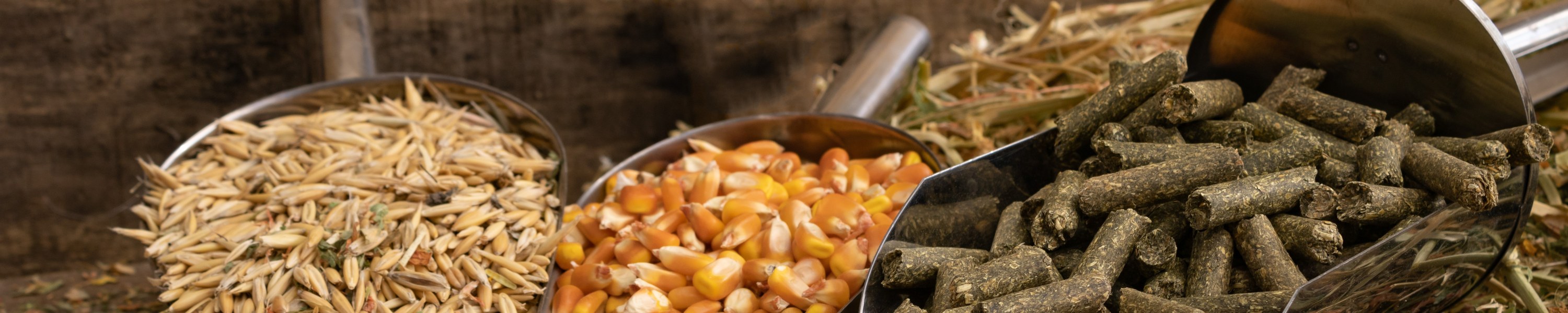 Mineralfutter Pferd im Vergleich: Getreidefrei, melassefrei, Spirulina, Pellet