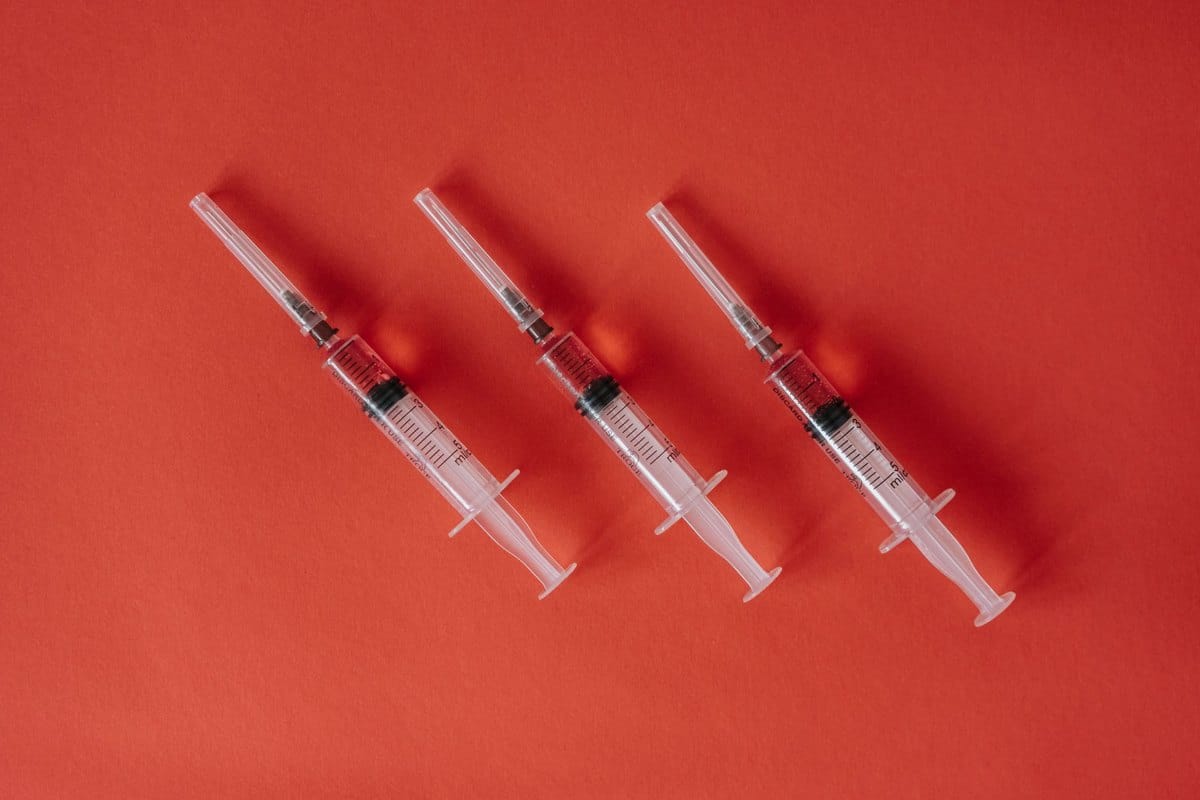 Myxomatose beim Kaninchen: Symptome, Verlauf & Impfschutz – go4vet