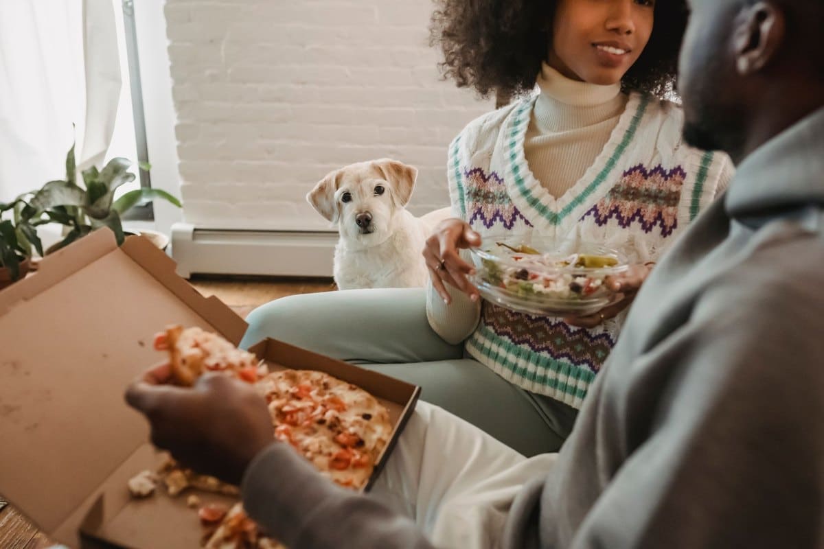 Natürliches Hundefutter – go4vet