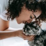 OP-Versicherung Katze: Tarife, Kosten, Tipps