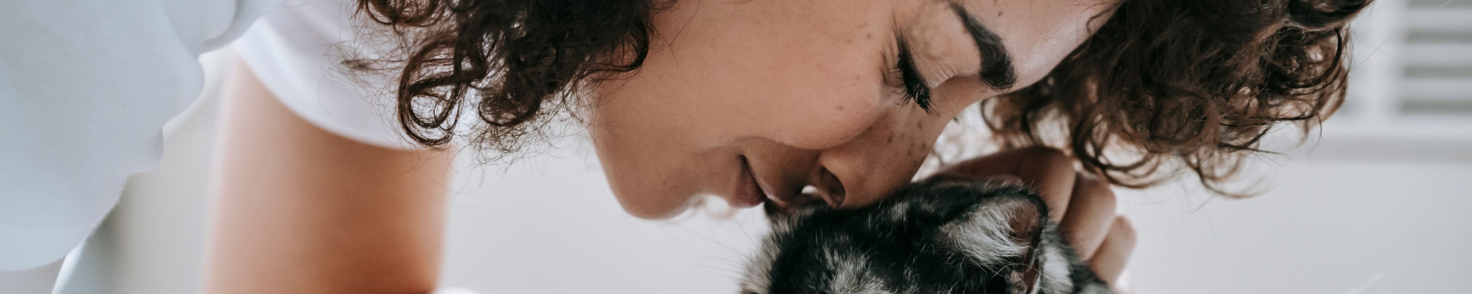OP-Versicherung Katze: Tarife, Kosten, Tipps