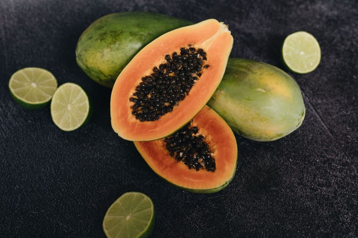 Papaya Hund: Können Hunde Papaya fressen? – go4vet